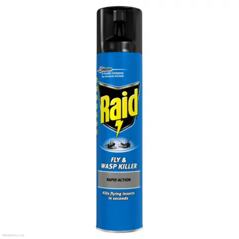 Raid Rapid Action Fly & Wasp Insect Killer 300ml